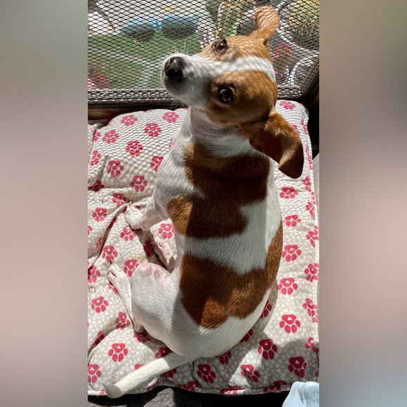 Meet your Posher, Shawn - Picture 13 of 13